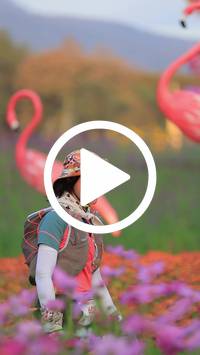 BIB:  <button type="button" onclick="openModal(27582945)" class="btn btn-primary btn-sm float-right" data-toggle="modal" data-target=".modal-high-quality">
                <i class="fa fa-download"></i> Download
                </button>